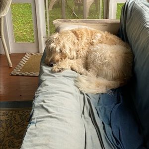 Meet your Posher, Matthew